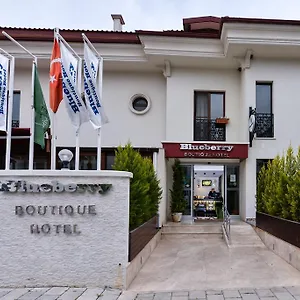 https://blueberry-boutique-hotel.aegeanhotels.net